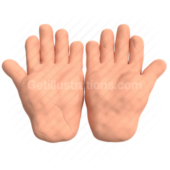 hands, palms, fingers, gesture, body part, skin, anatomy